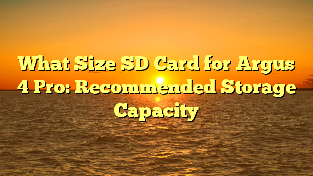 What Size SD Card for Argus 4 Pro: Recommended Storage Capacity