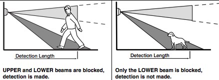Pet Immune Motion Sensor Explained What You Need to Know