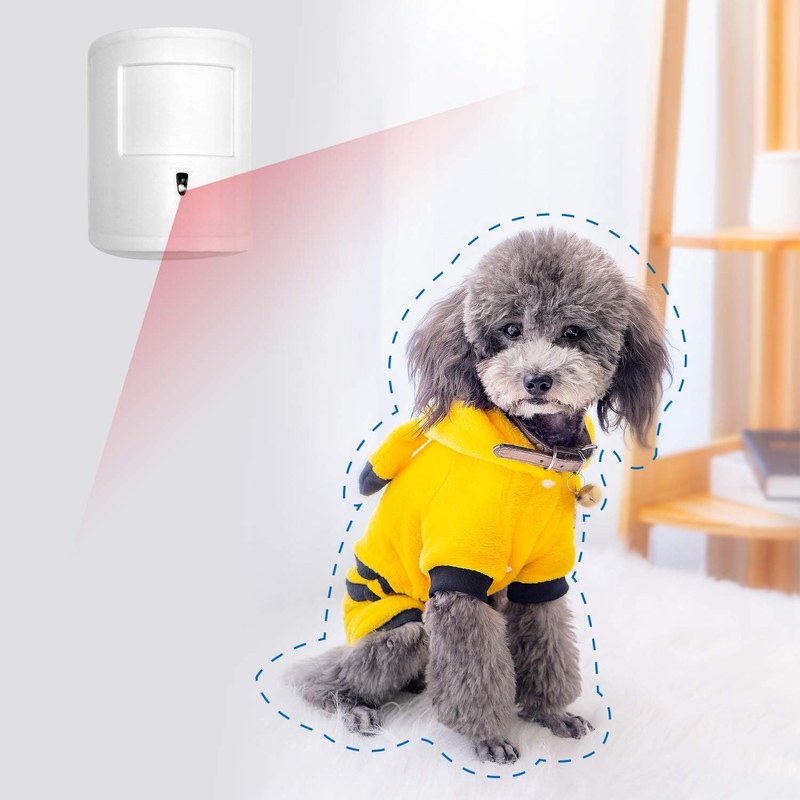 Diagram of a pet immune motion sensor detecting a person while ignoring a dog.